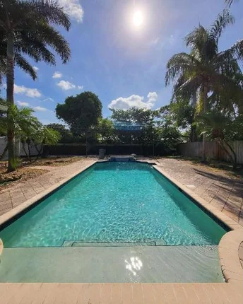 A long lap pool with a shallow sun shelf, framed by palm trees under a bright South Florida sky.